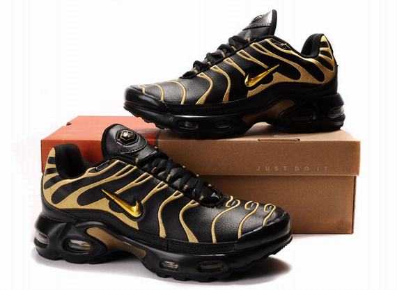 tn requin vrai shox tn requin la depollution